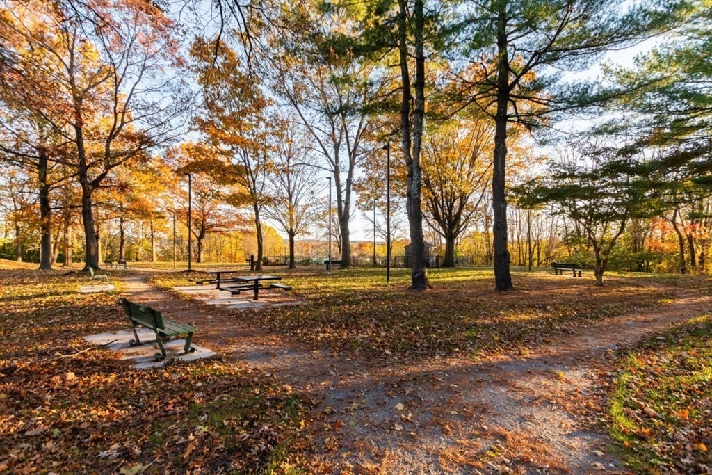 87 Sunnyside St # 87