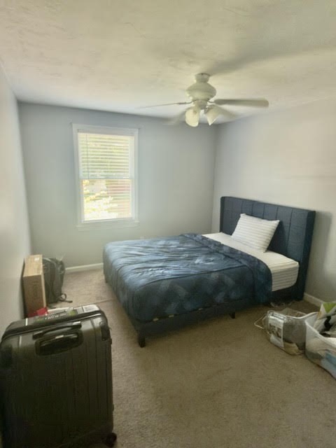 33 Crossman St # 33