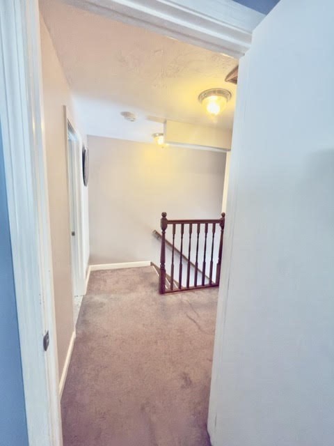 33 Crossman St # 33