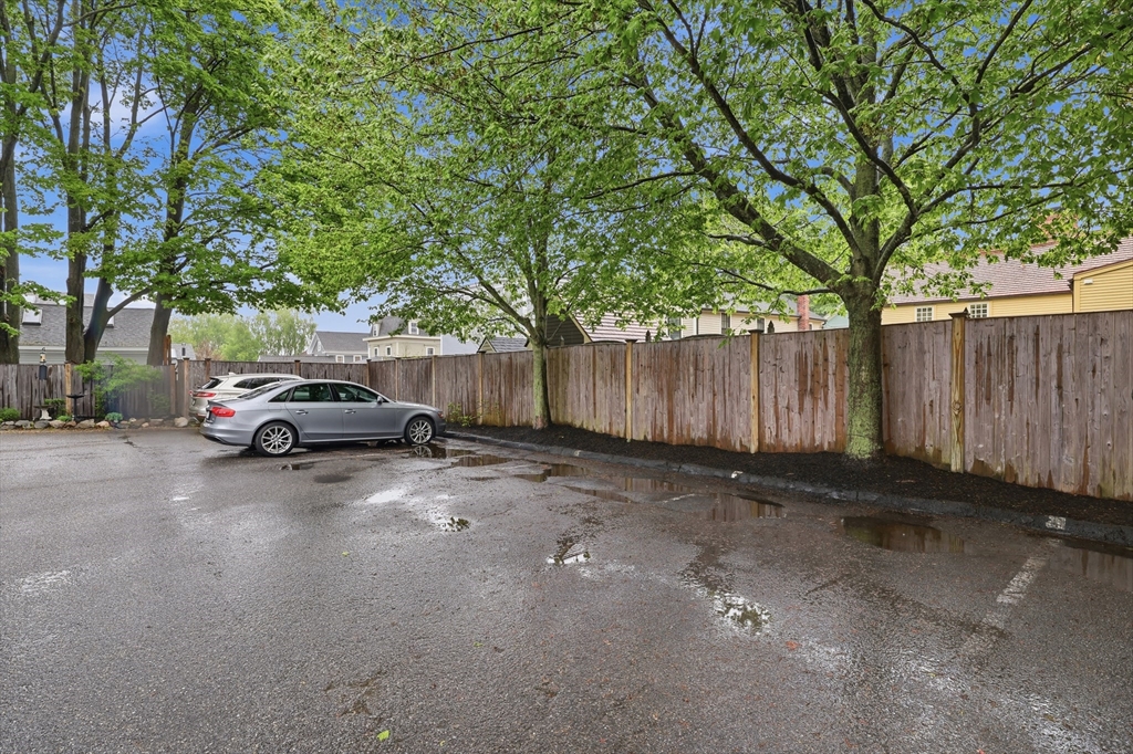 31 Olive Street # 31