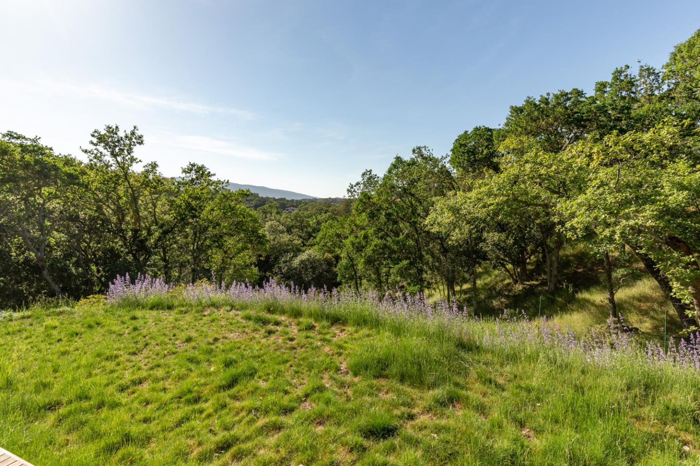 145 Deer Meadow Lane