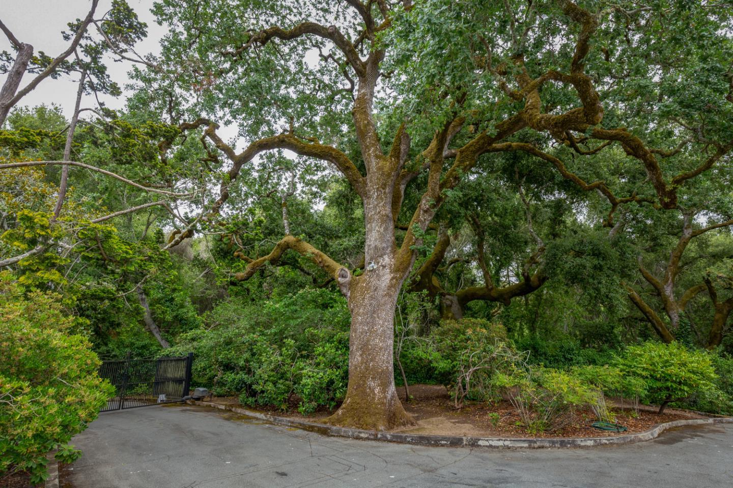 259 Kings Mountain RD