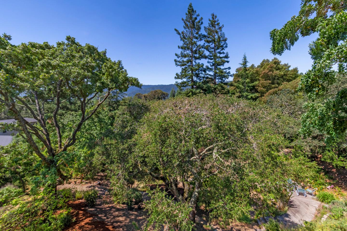 144 Alta Mesa RD