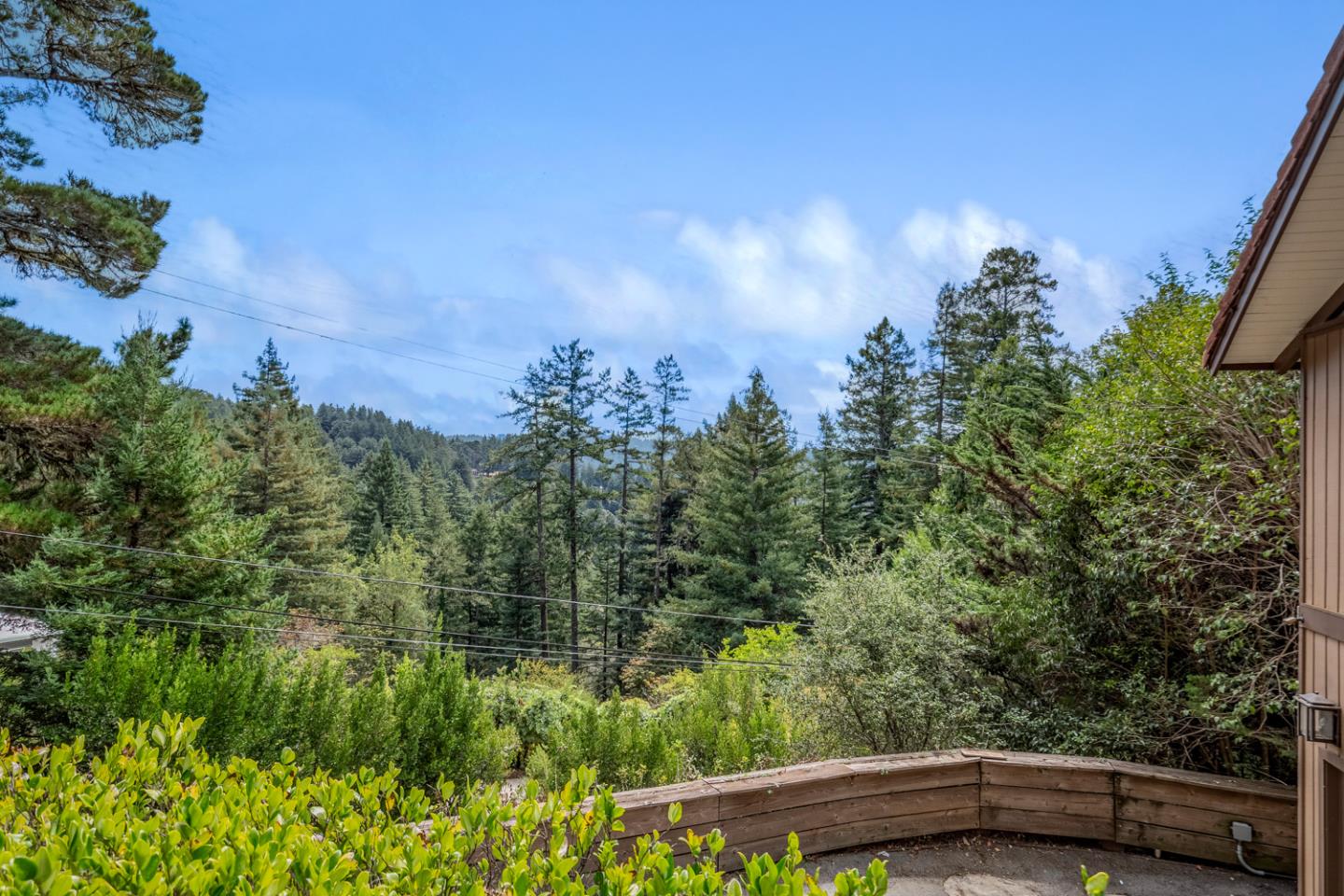 115 Forest View RD