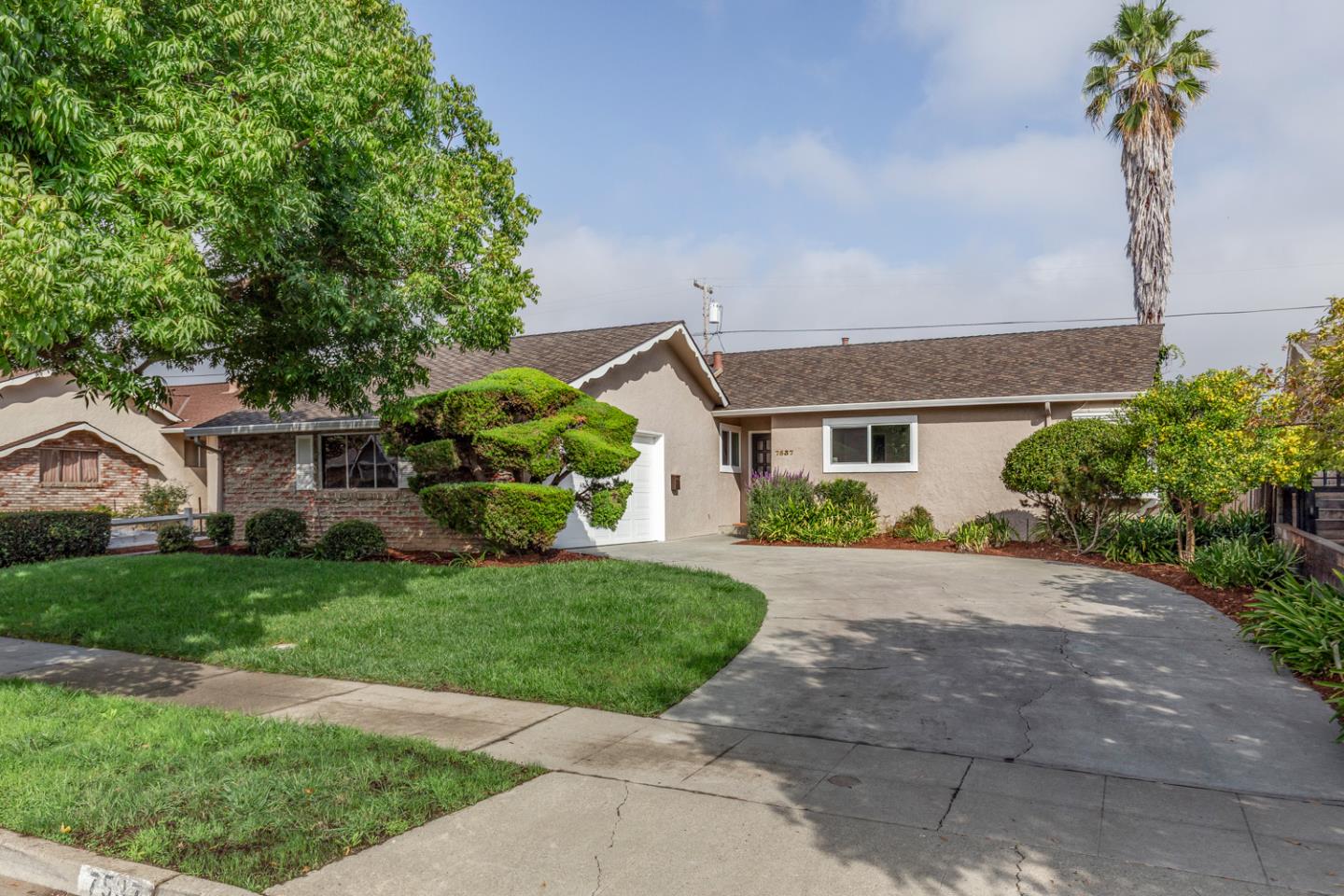 Single-story home with a broad driveway, landscaped lawn, and tall palm tree.