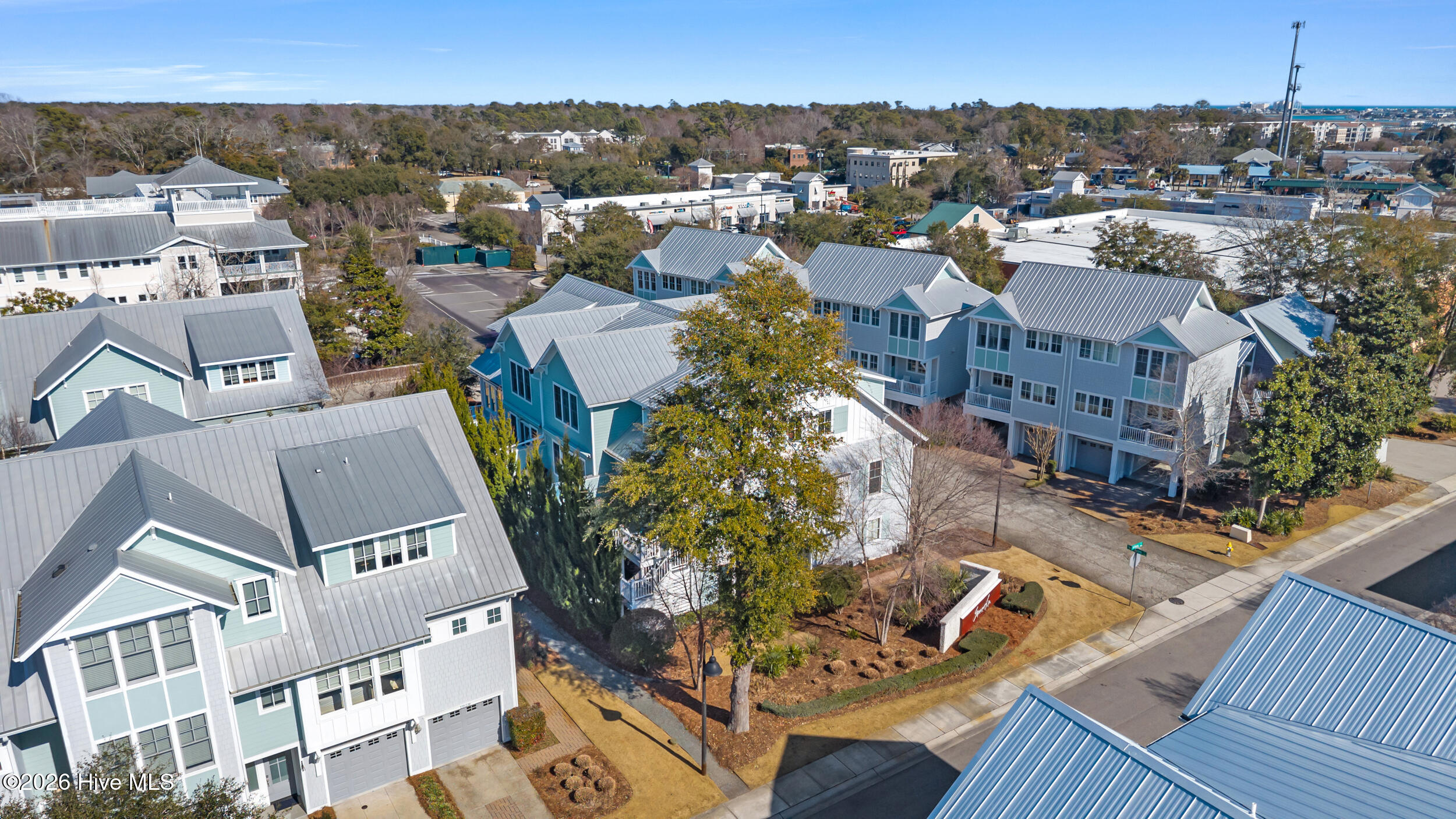 1705 Tearthumb Court