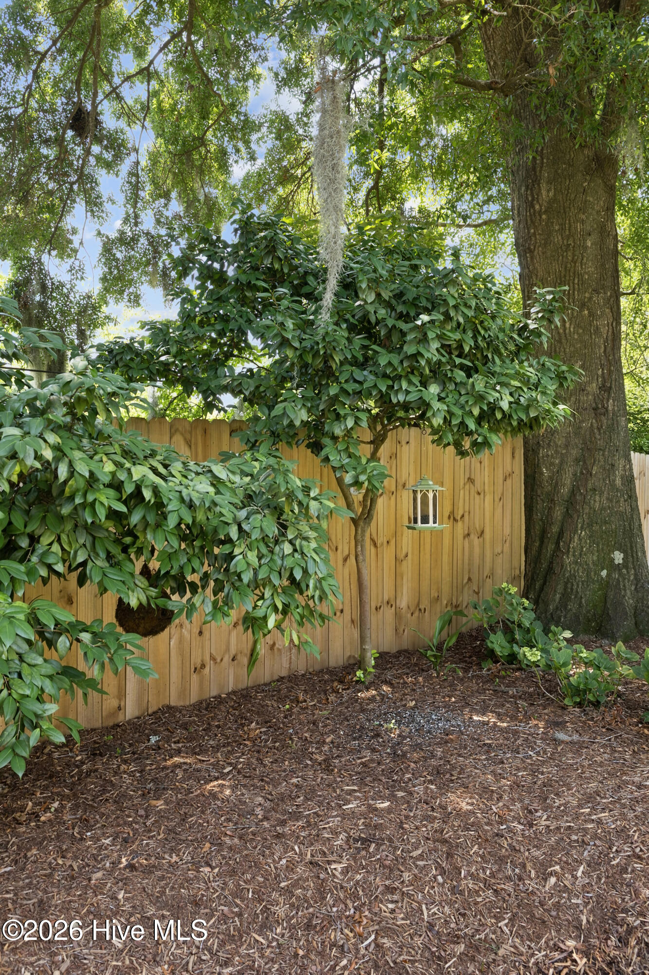 2514 Mimosa Place