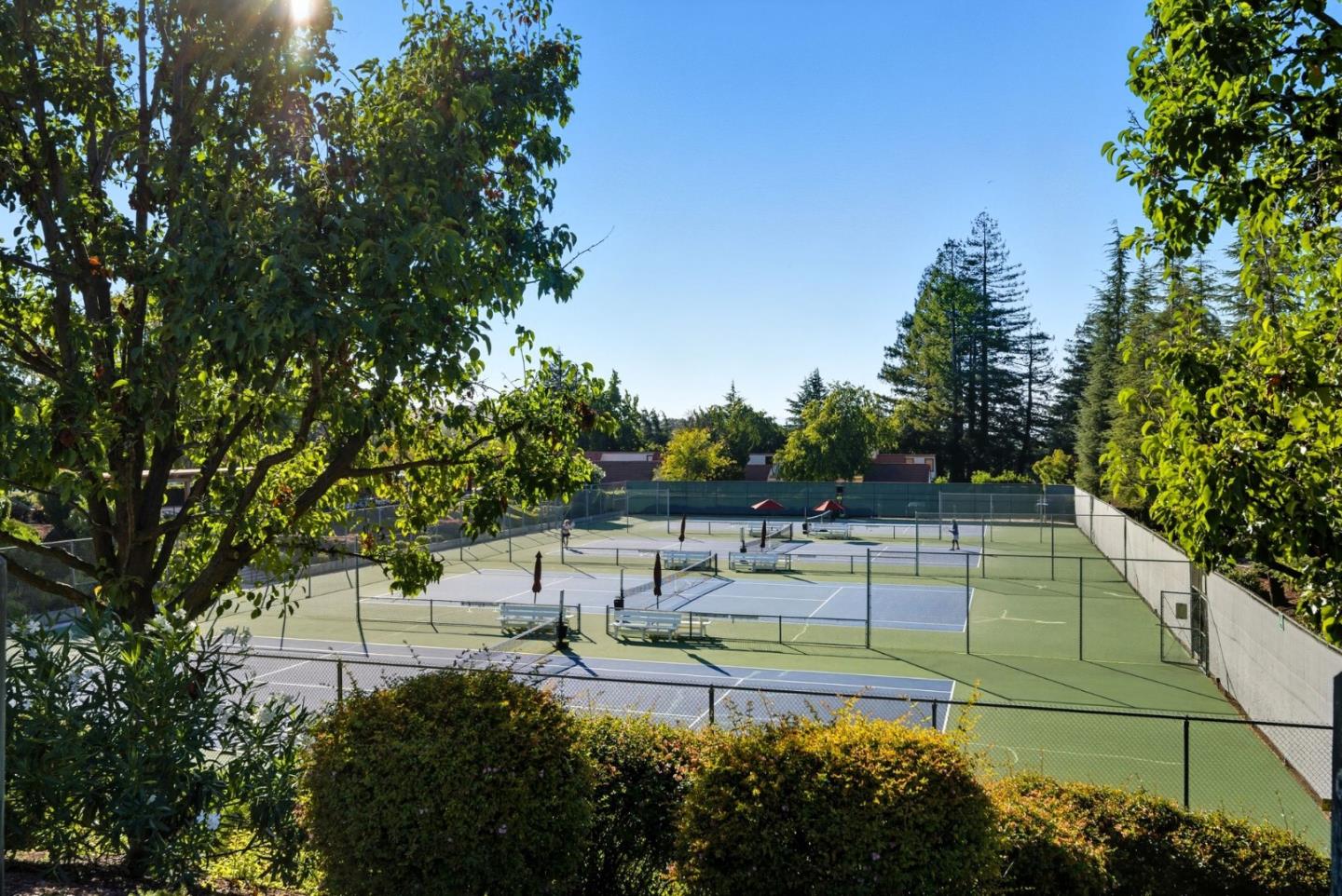 8030 Pinot Noir Court