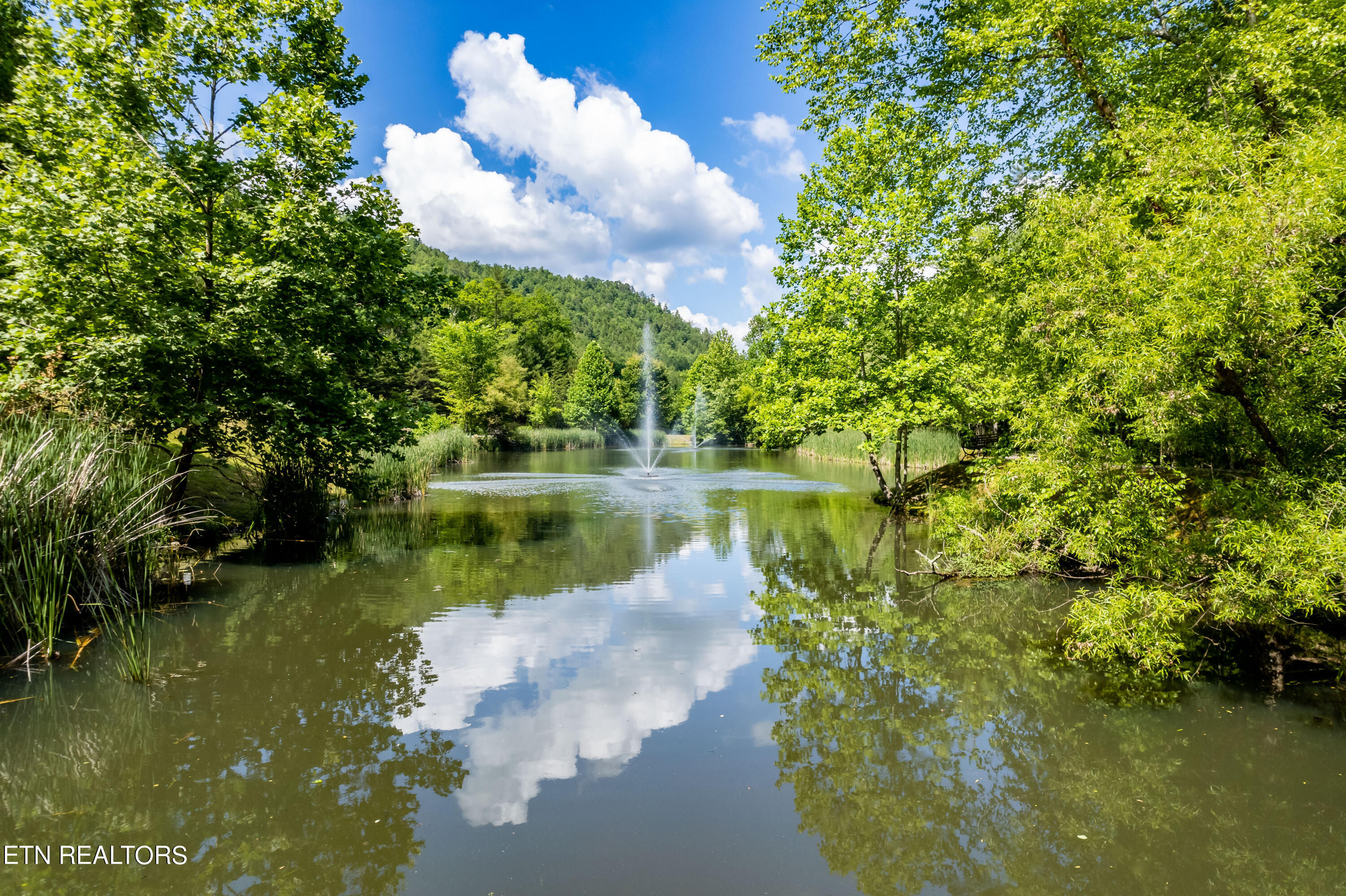 509 Lady Slipper Lane