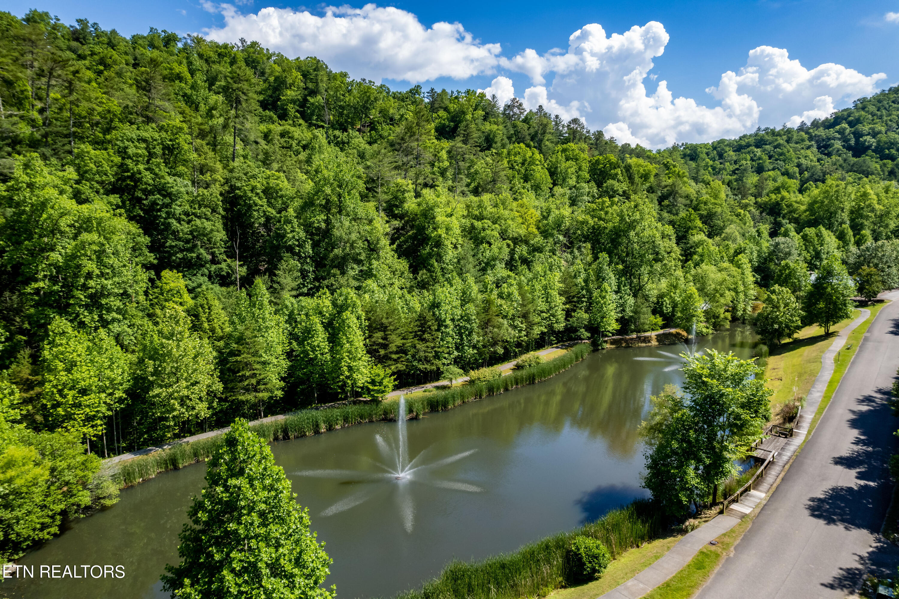 509 Lady Slipper Lane