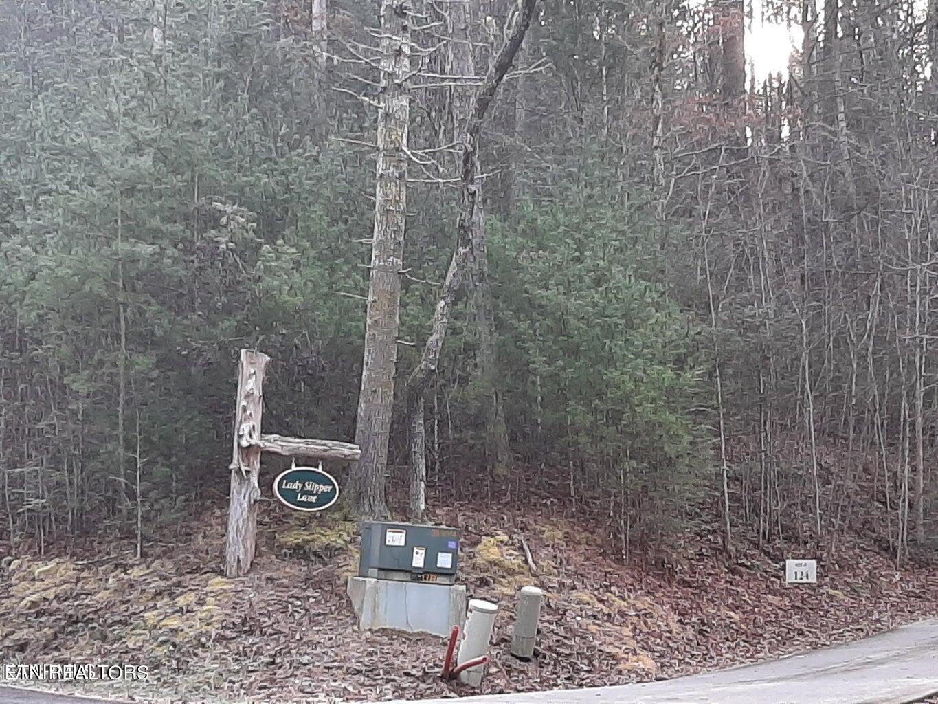 509 Lady Slipper Lane