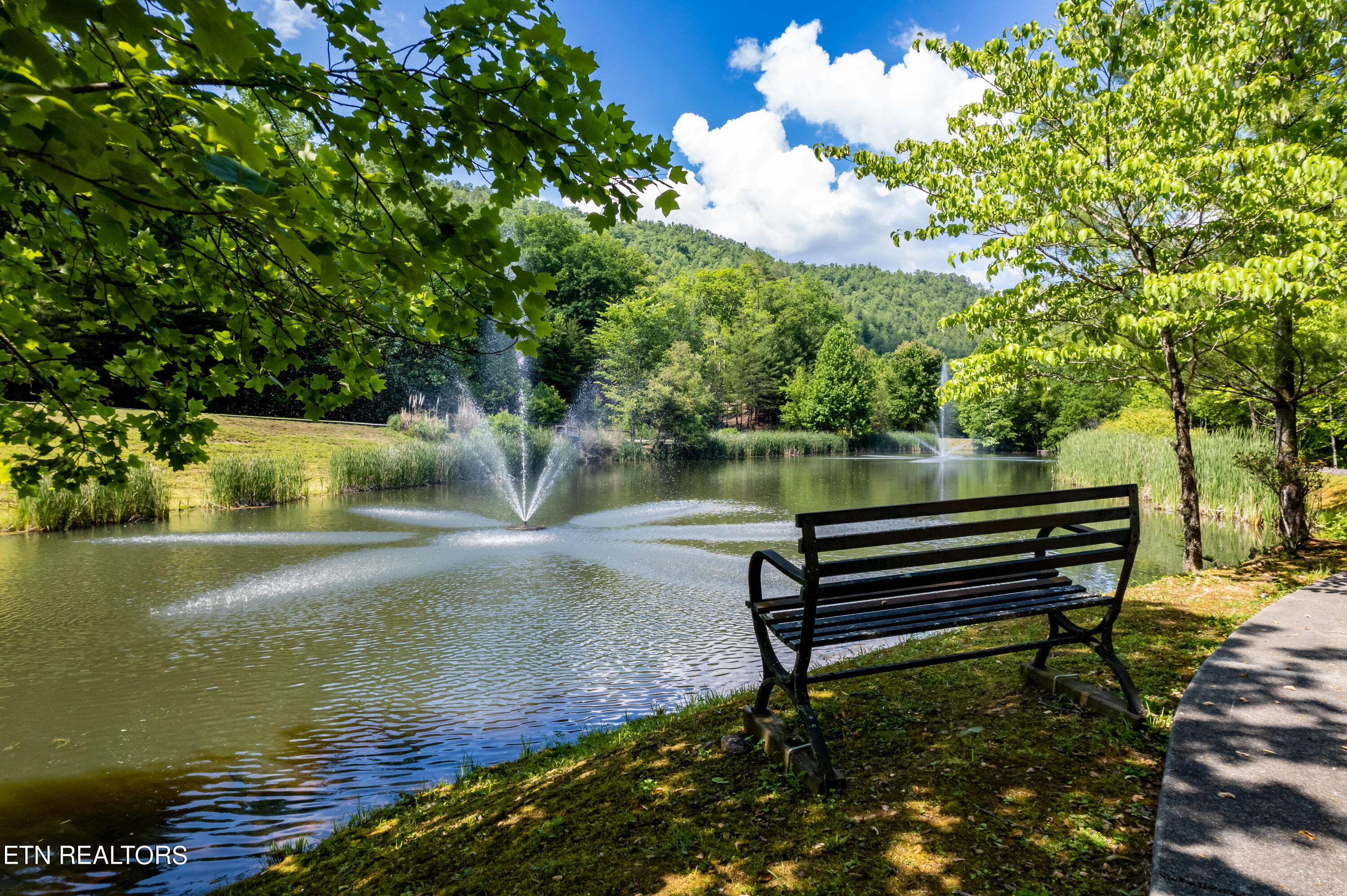 509 Lady Slipper Lane