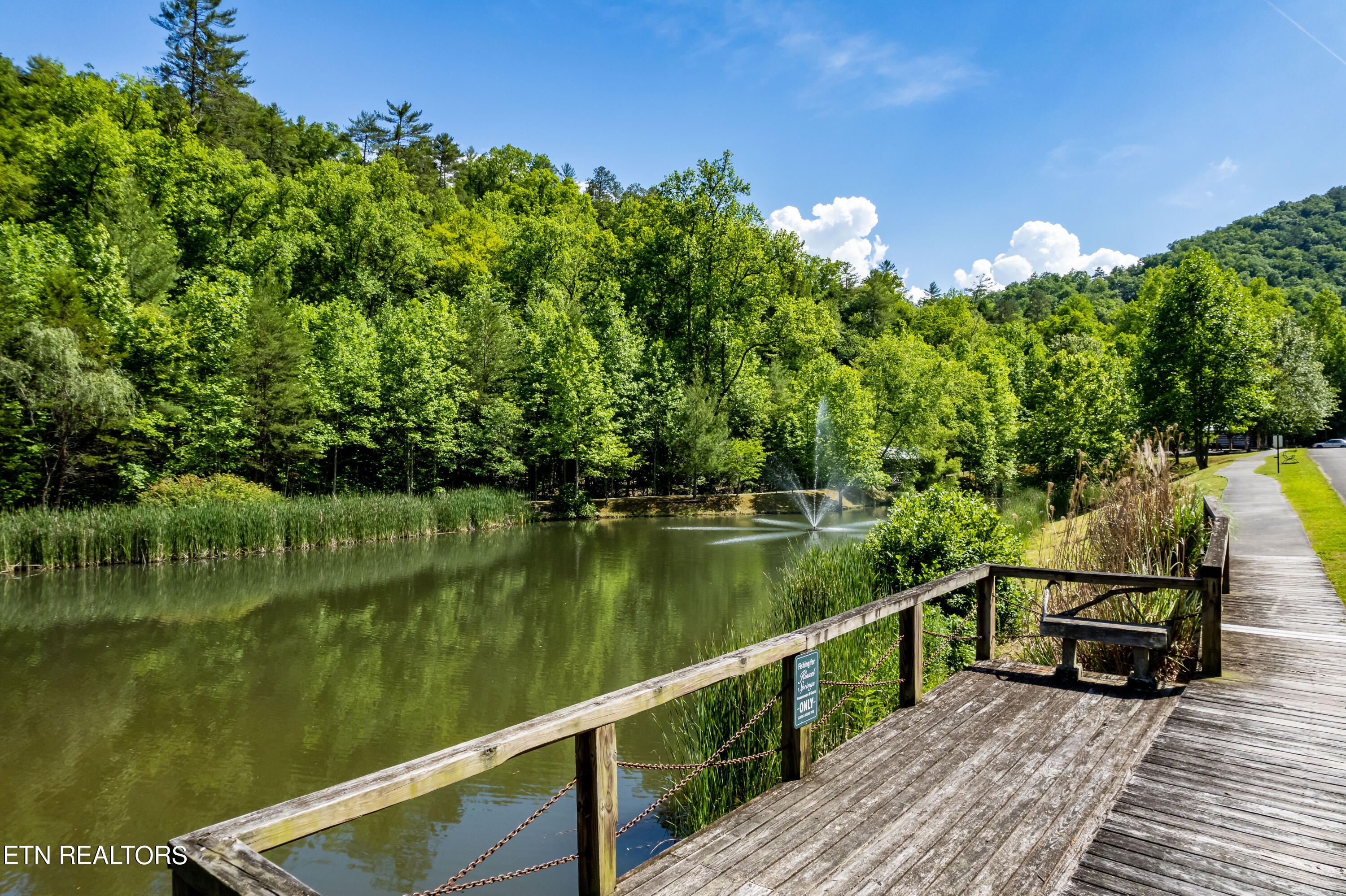 509 Lady Slipper Lane