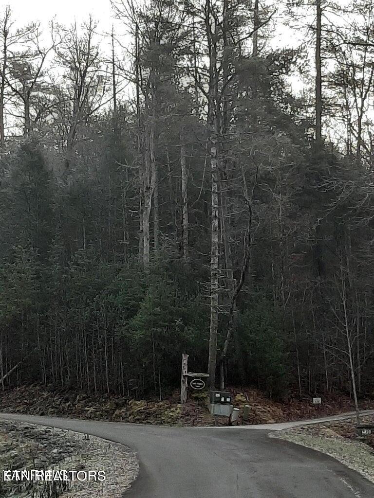 509 Lady Slipper Lane