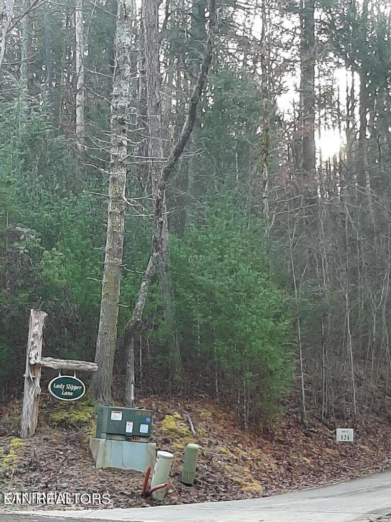 509 Lady Slipper Lane