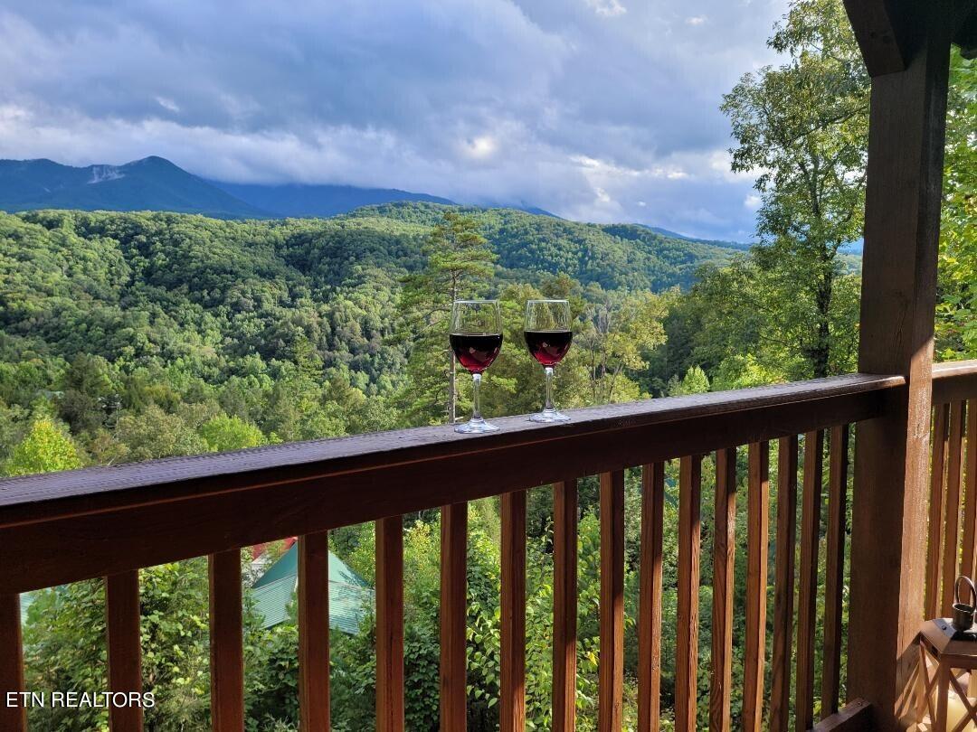 1761 Mountain Shadows Way