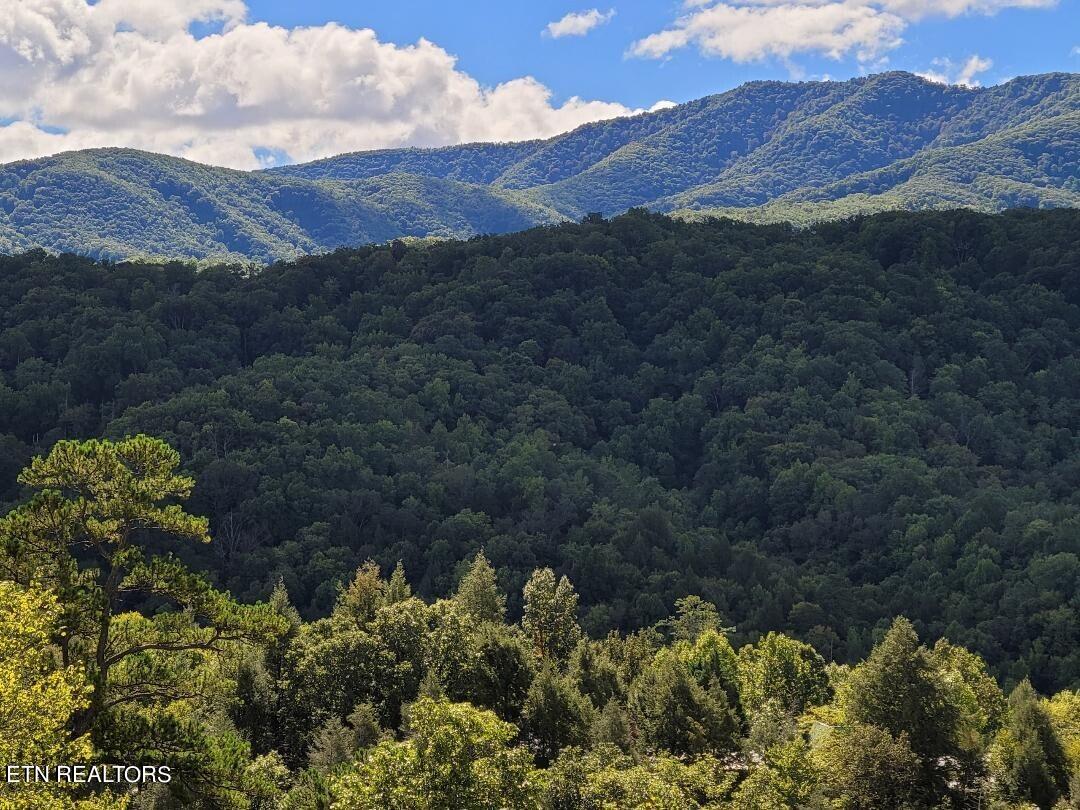 1761 Mountain Shadows Way