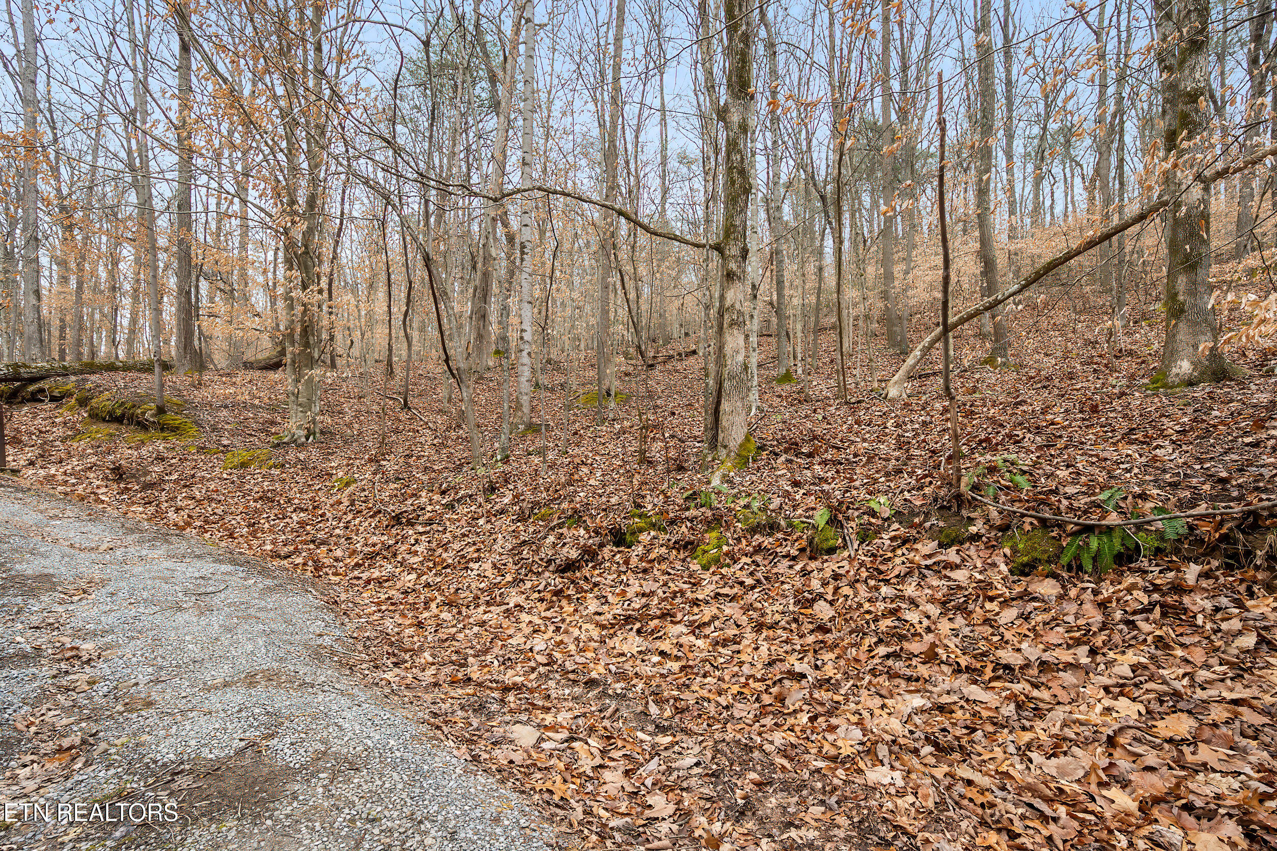 450 Stone Mountain Rd