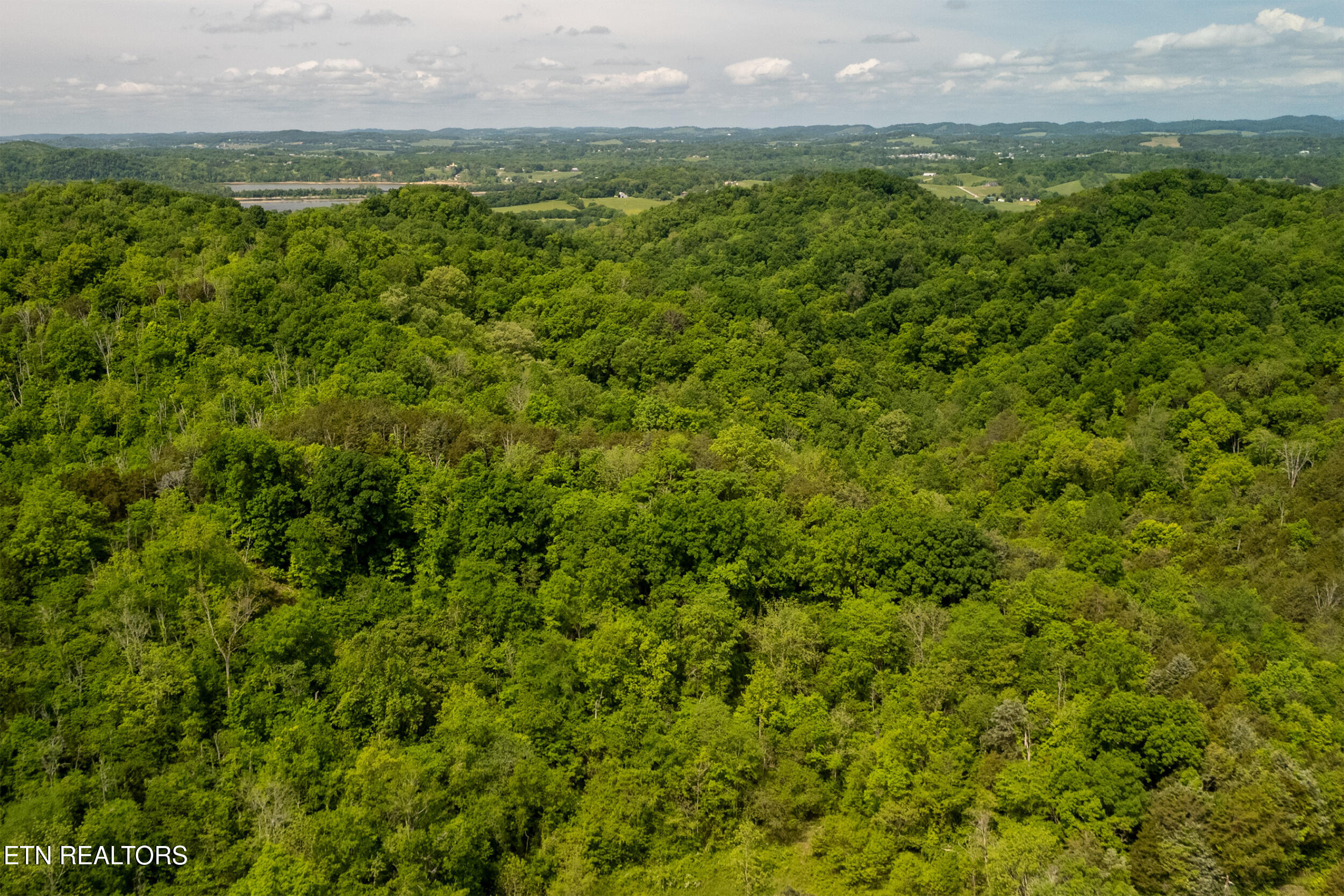 00 Henry Rd, Newport