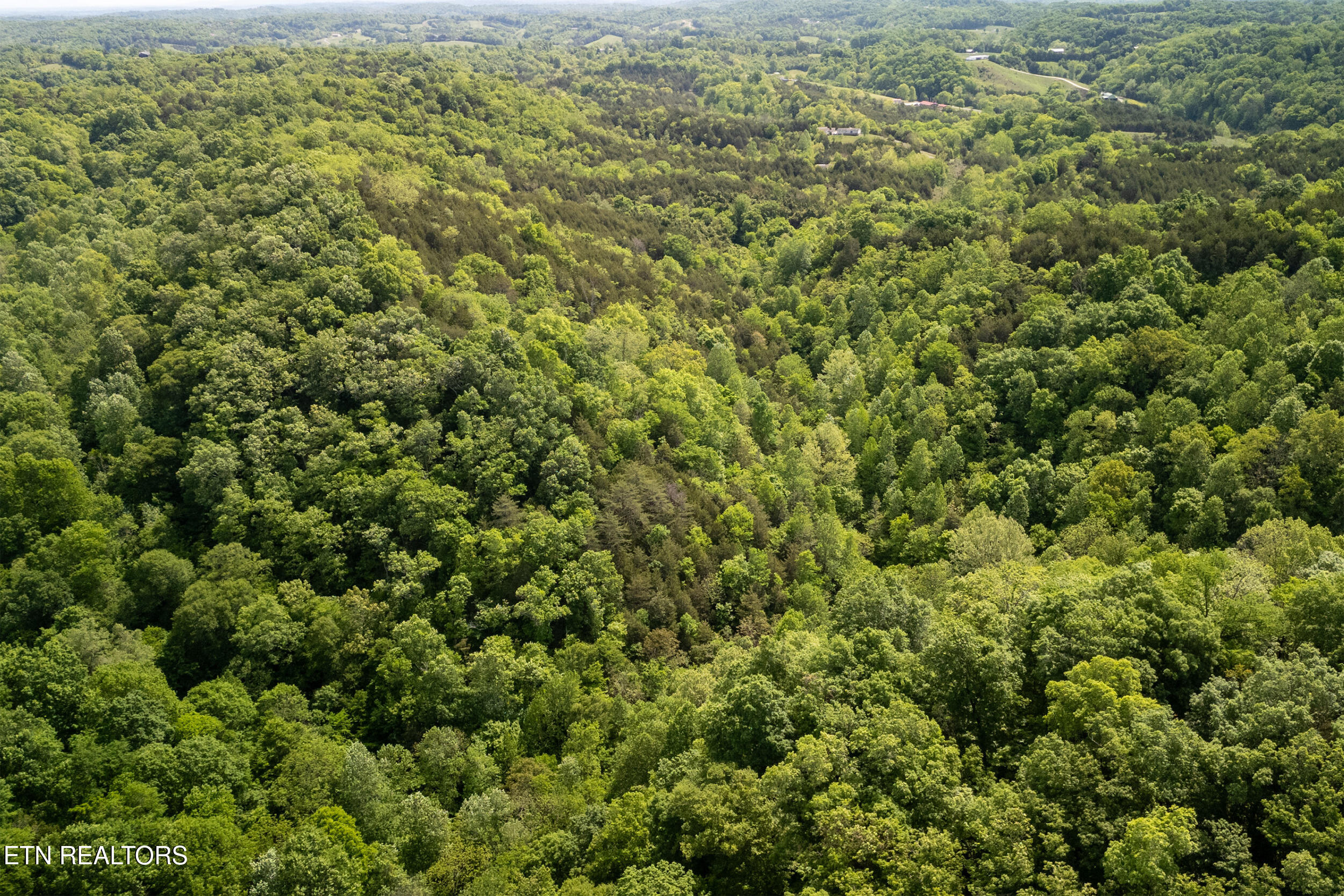 00 Henry Rd, Newport