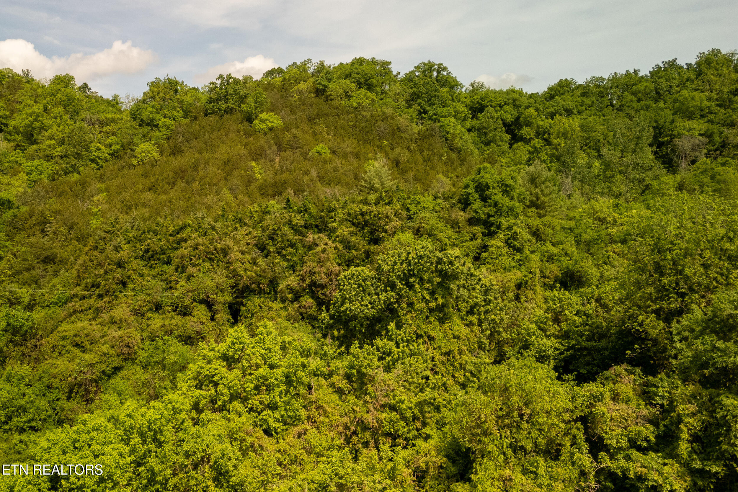 00 Henry Rd, Newport