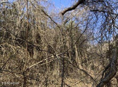 00 Henry Rd, Newport