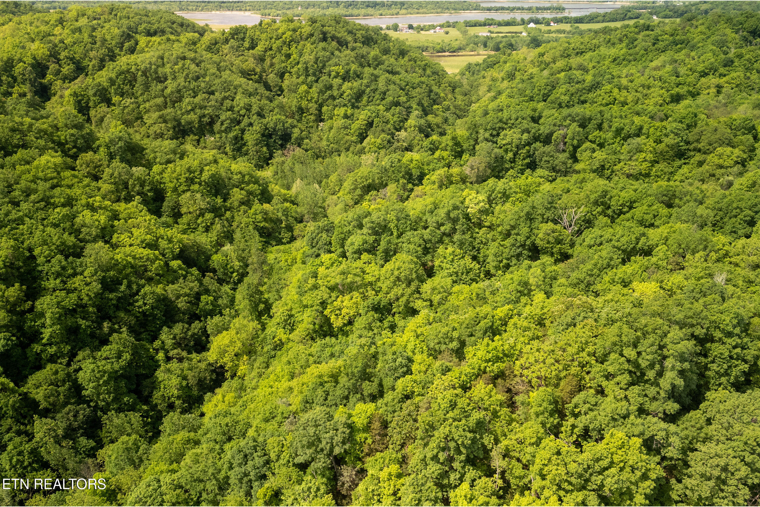 00 Henry Rd, Newport