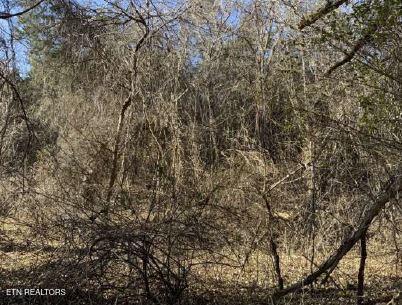 00 Henry Rd, Newport