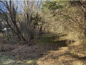 00 Henry Rd, Newport