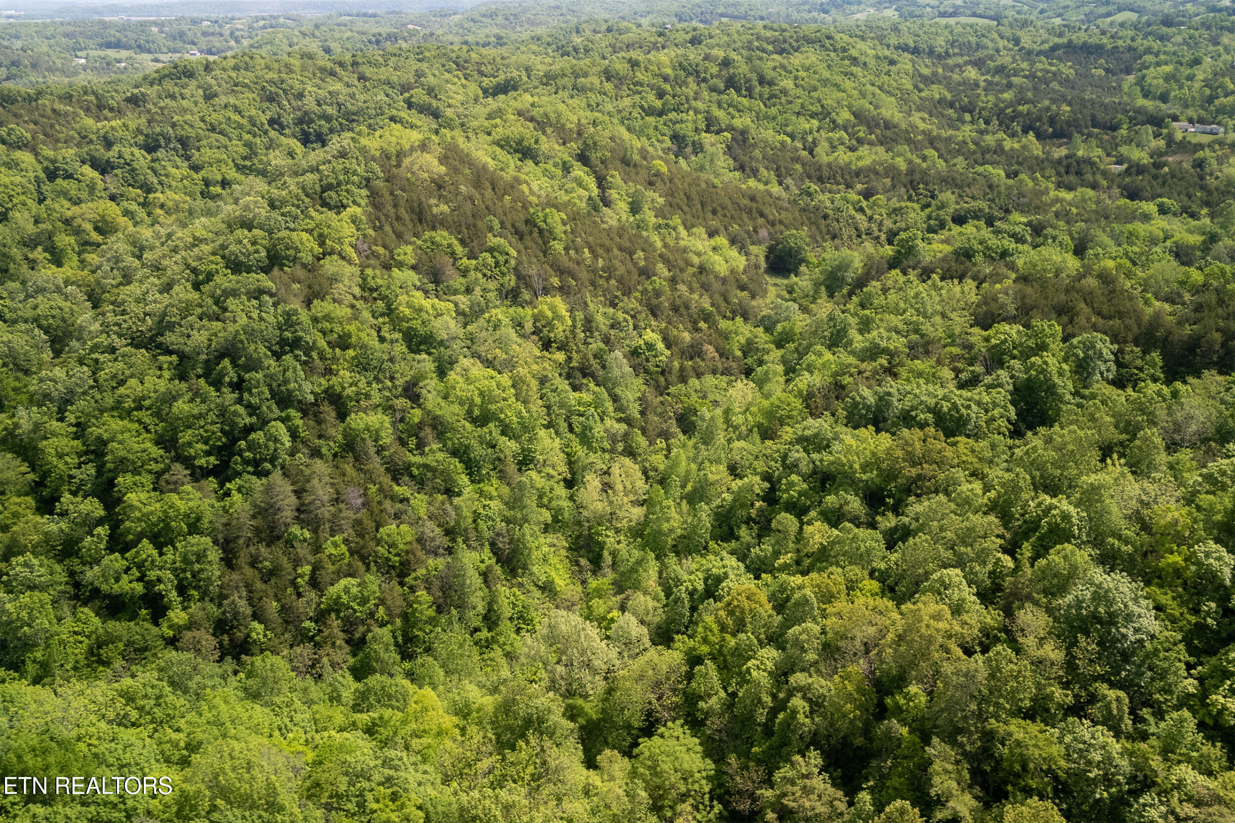 00 Henry Rd, Newport