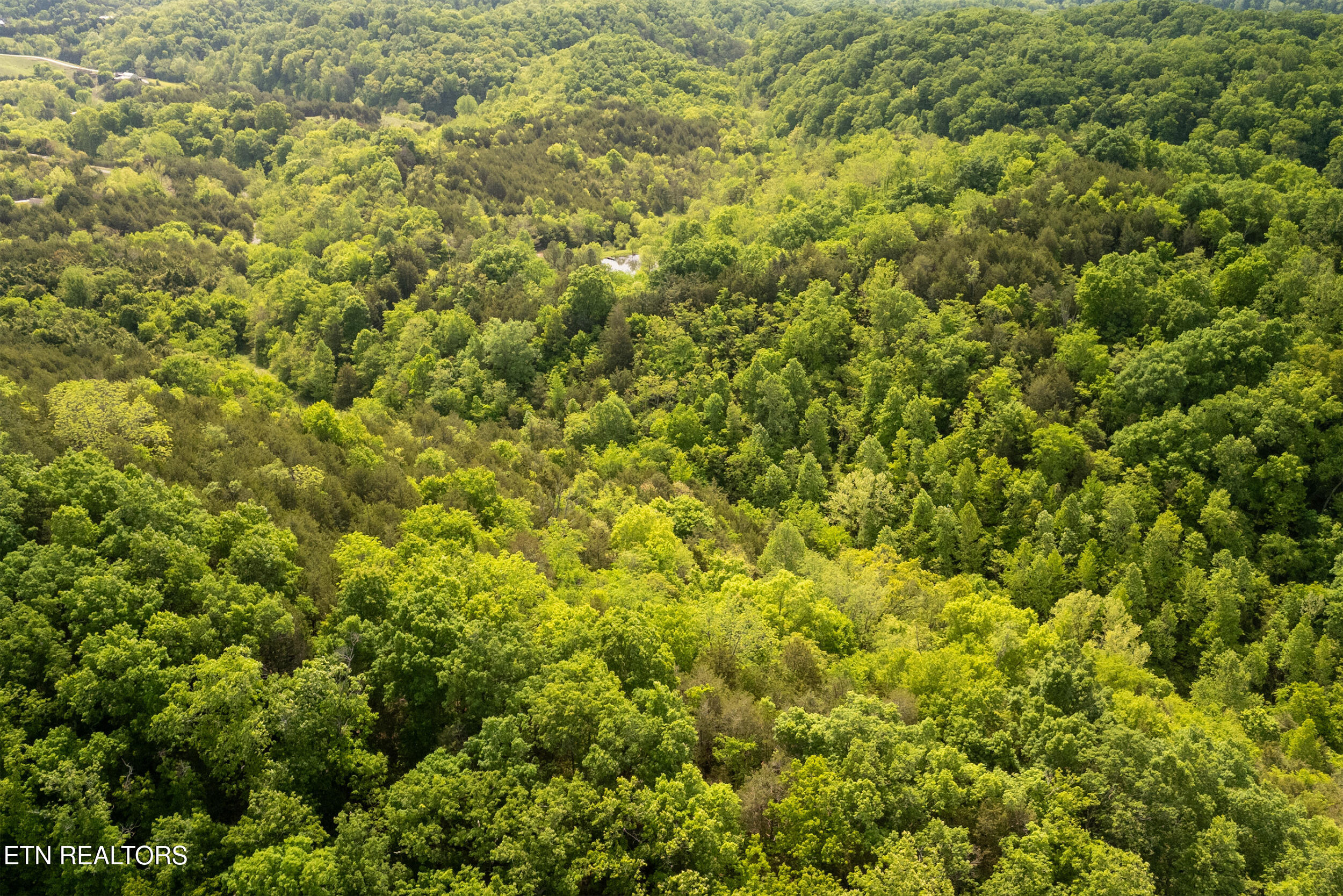 00 Henry Rd, Newport