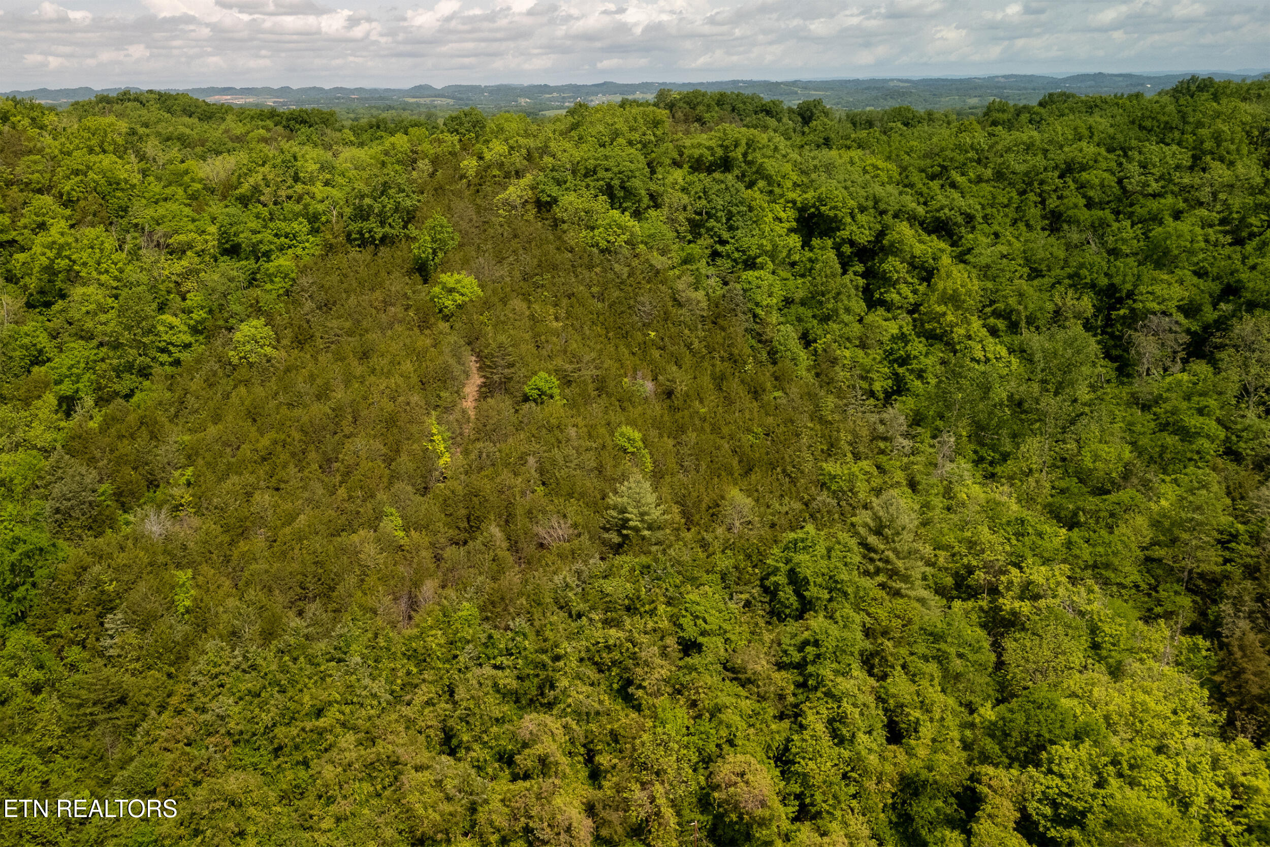 00 Henry Rd, Newport