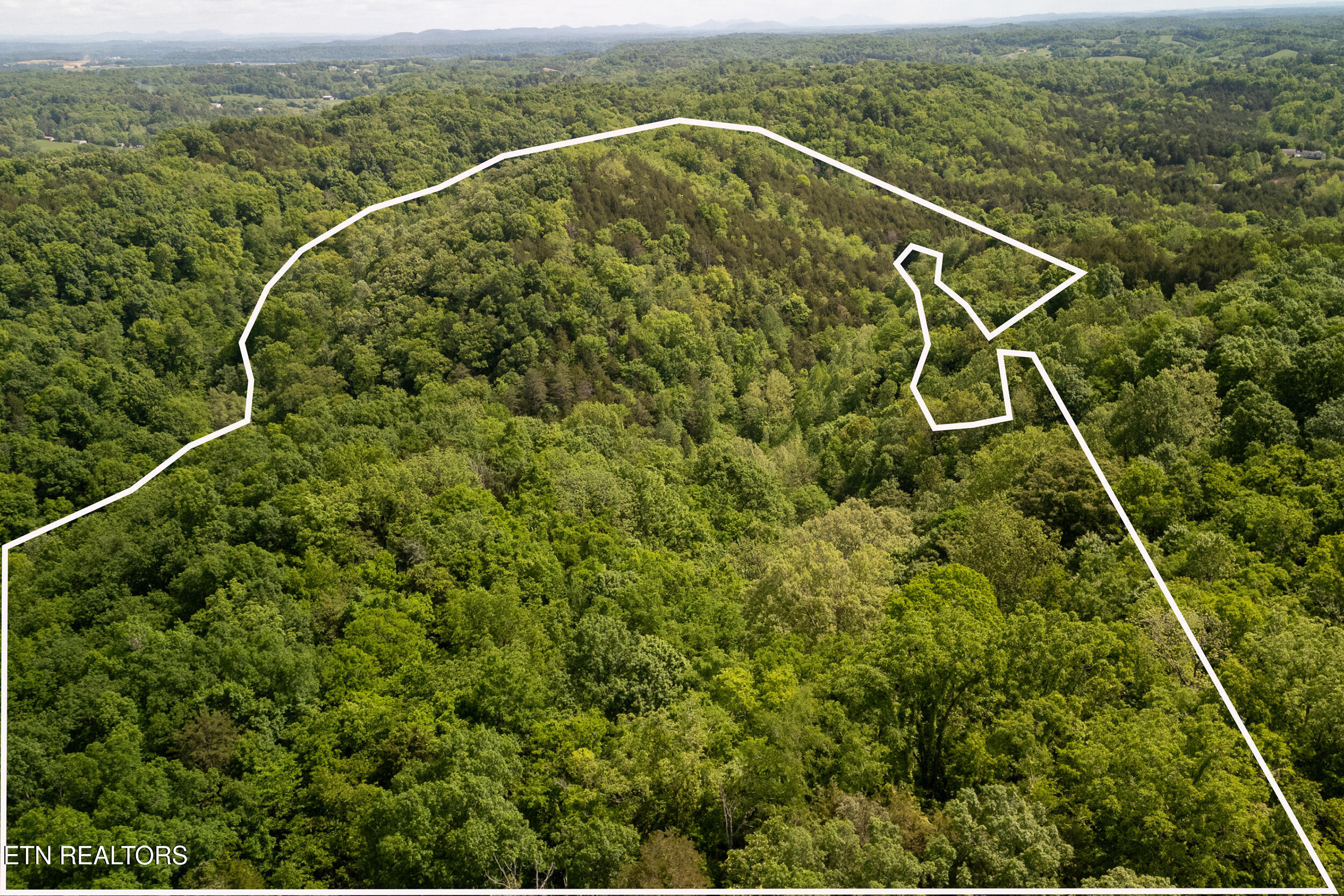 00 Henry Rd, Newport