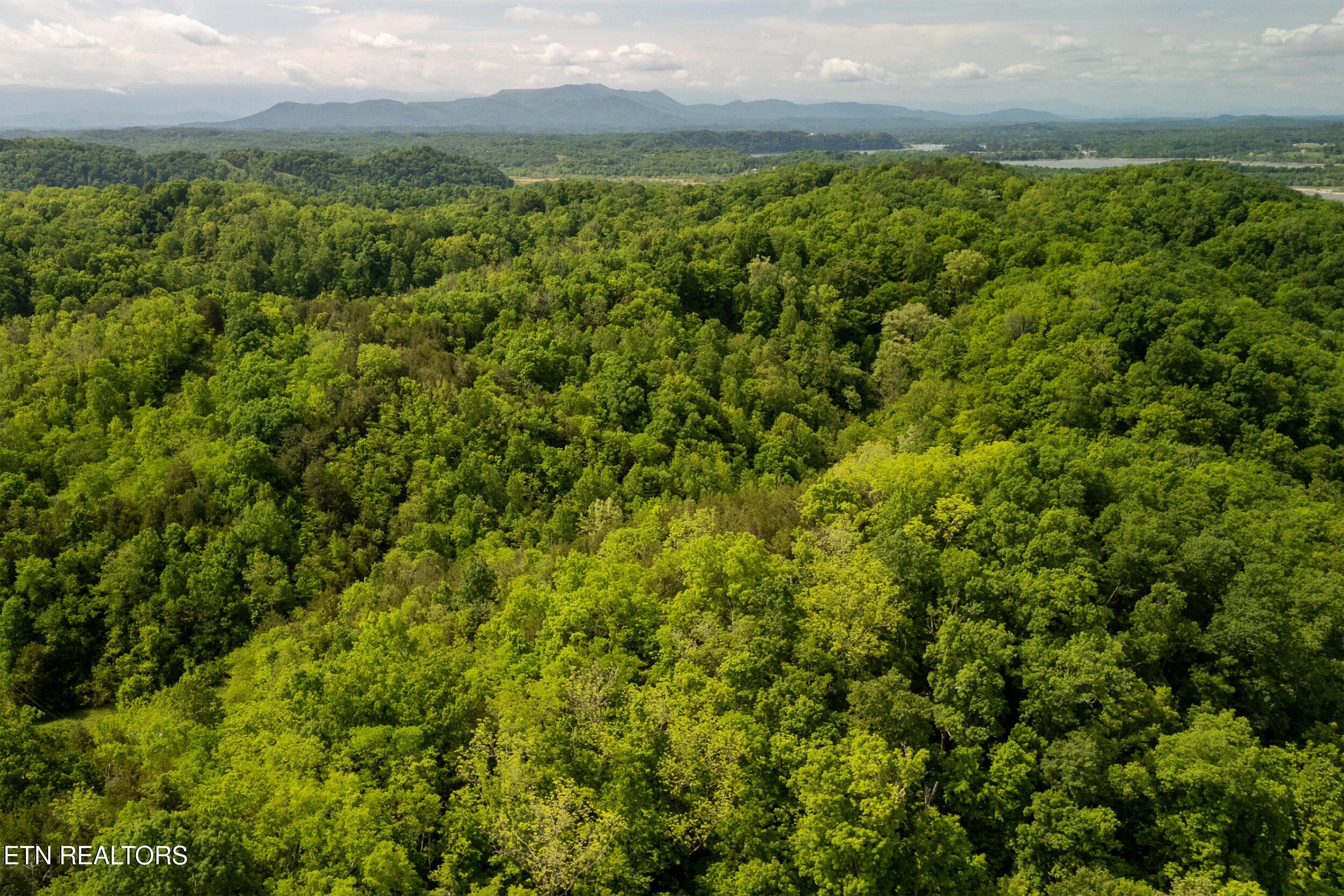 00 Henry Rd, Newport