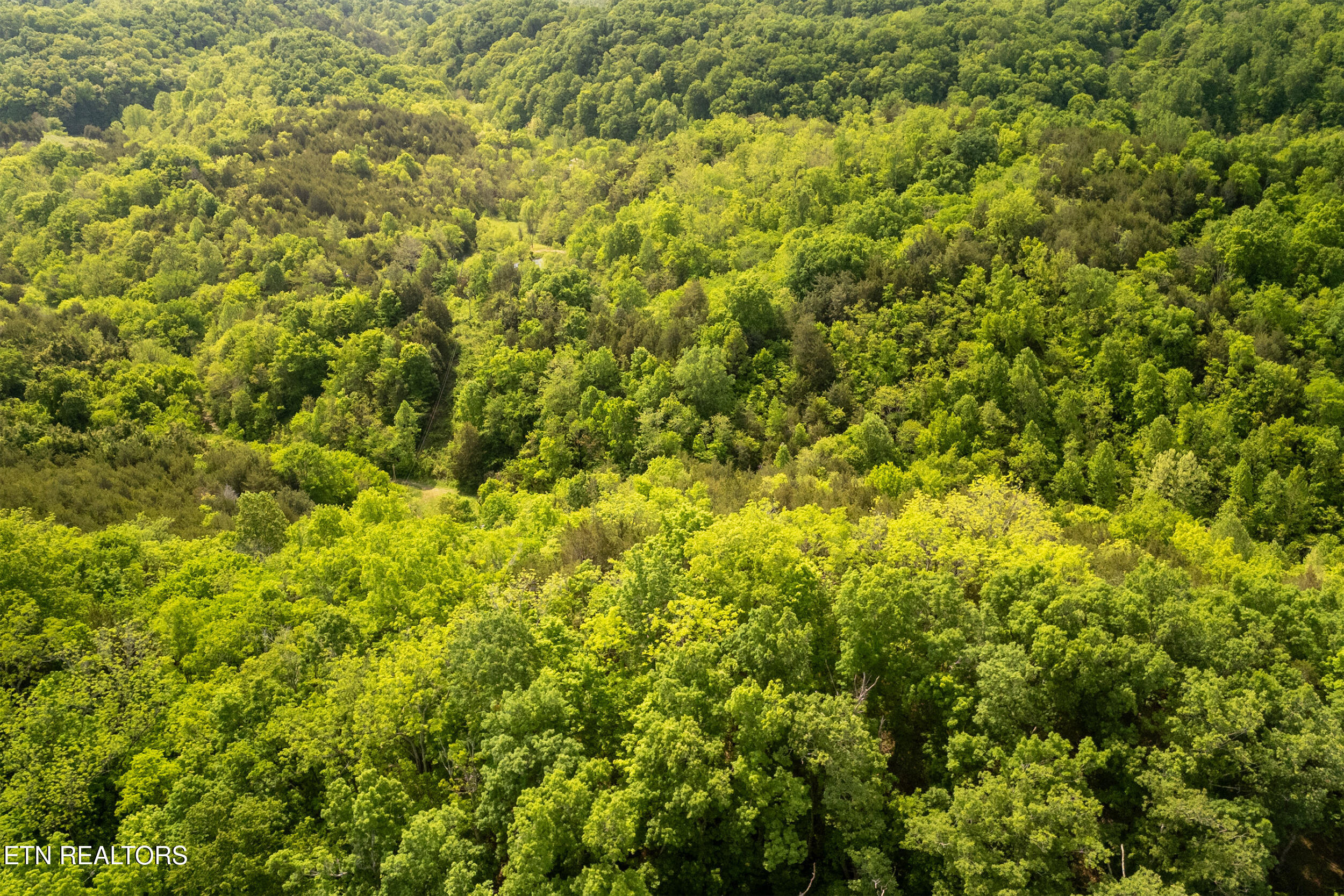 00 Henry Rd, Newport