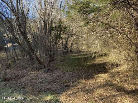 00 Henry Rd, Newport