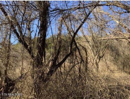 00 Henry Rd, Newport