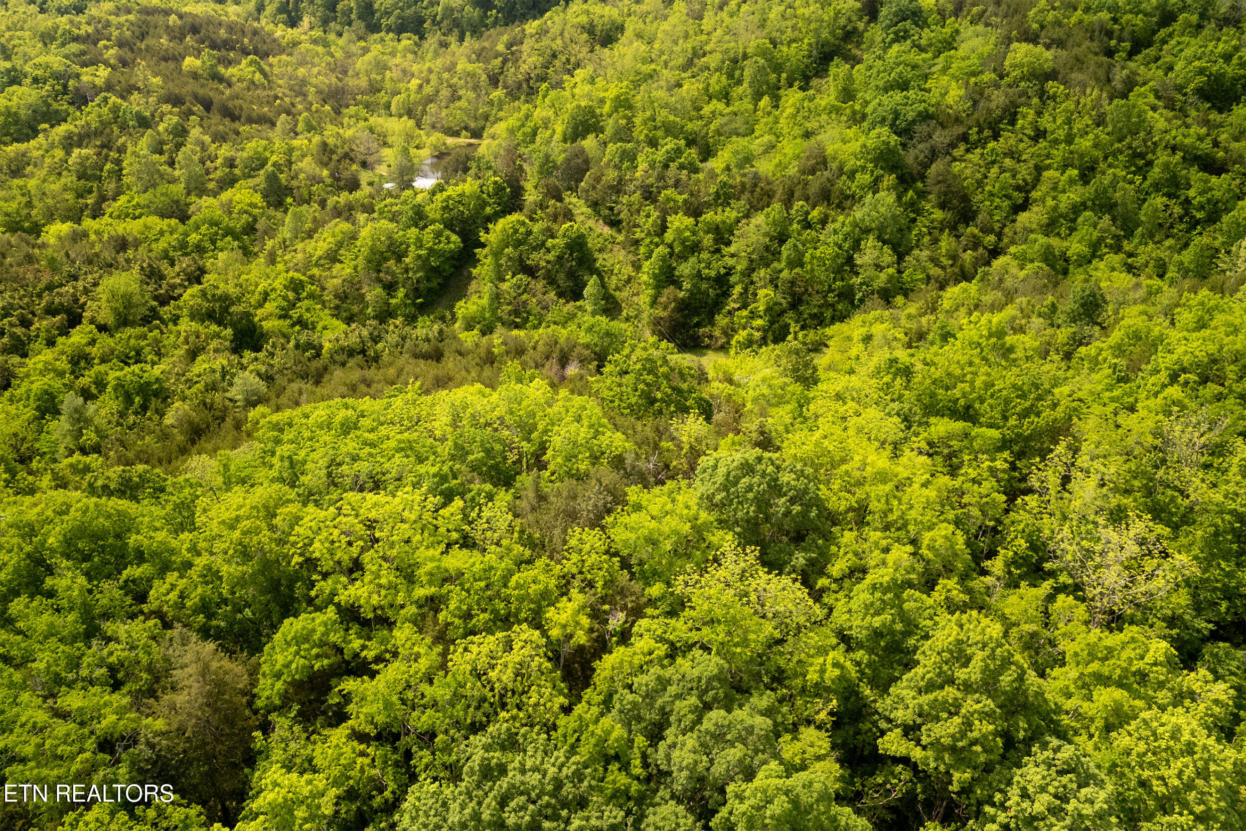 00 Henry Rd, Newport