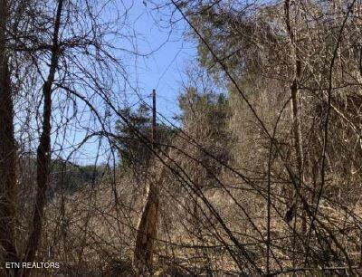 00 Henry Rd, Newport