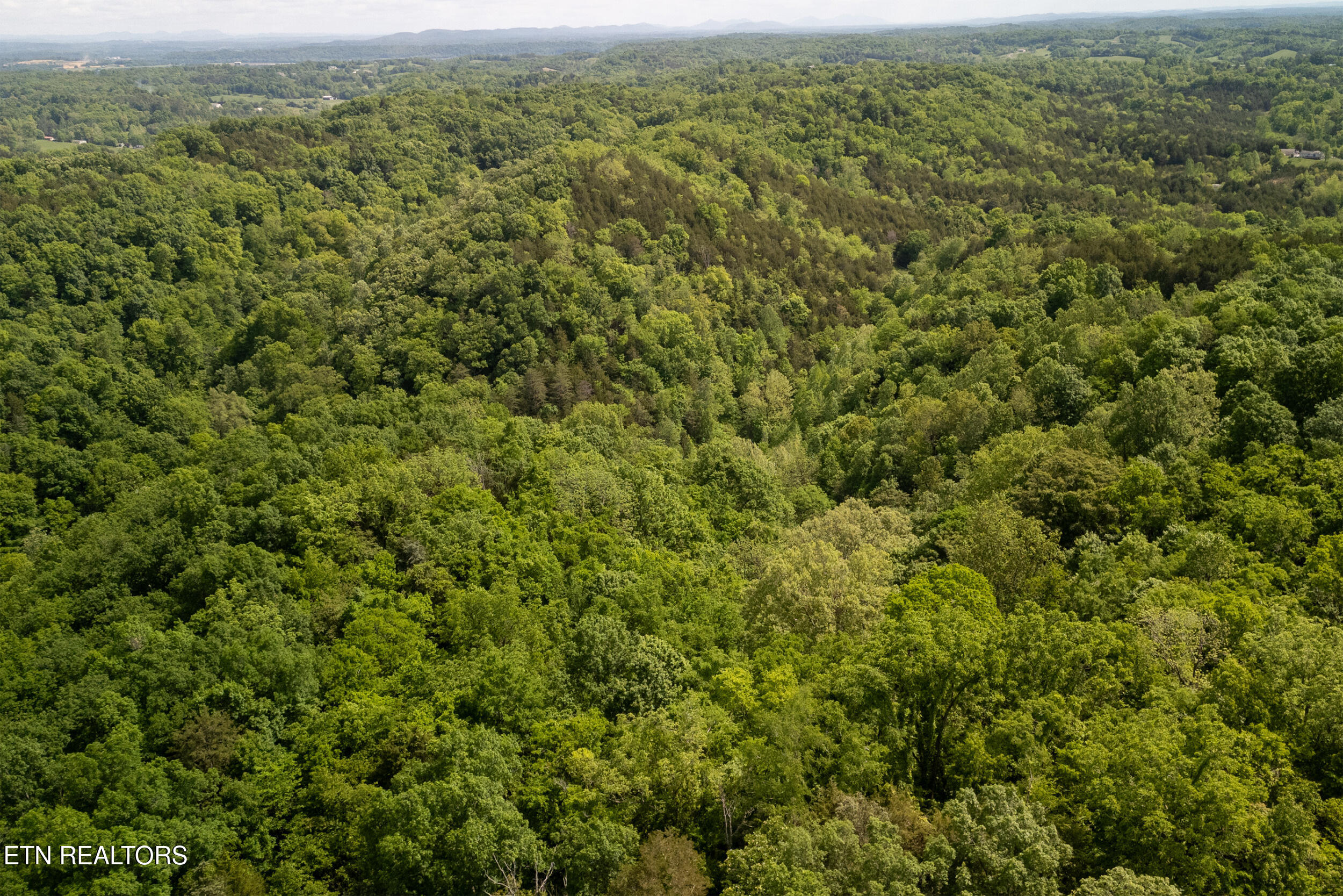 00 Henry Rd, Newport