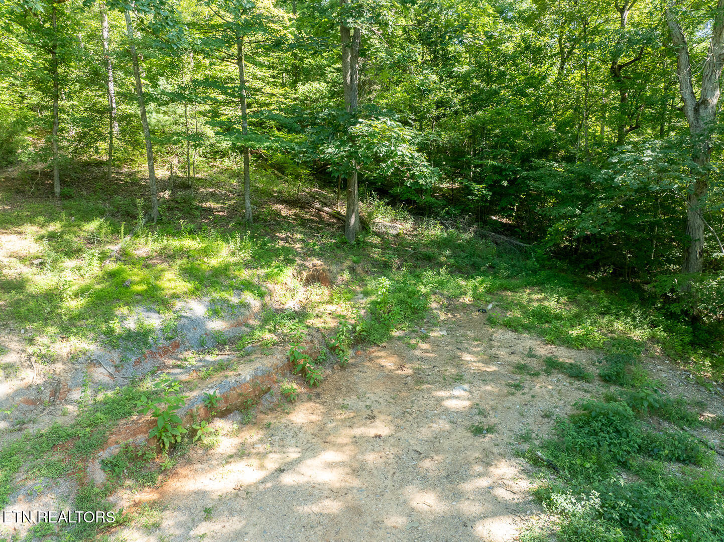 828 Hembree Hollow Rd