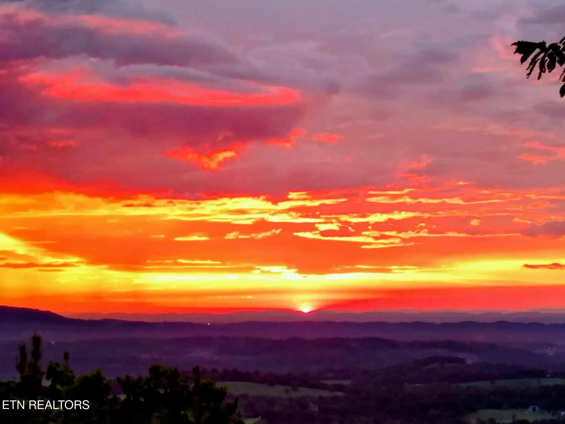 971 Critter Mountain Way