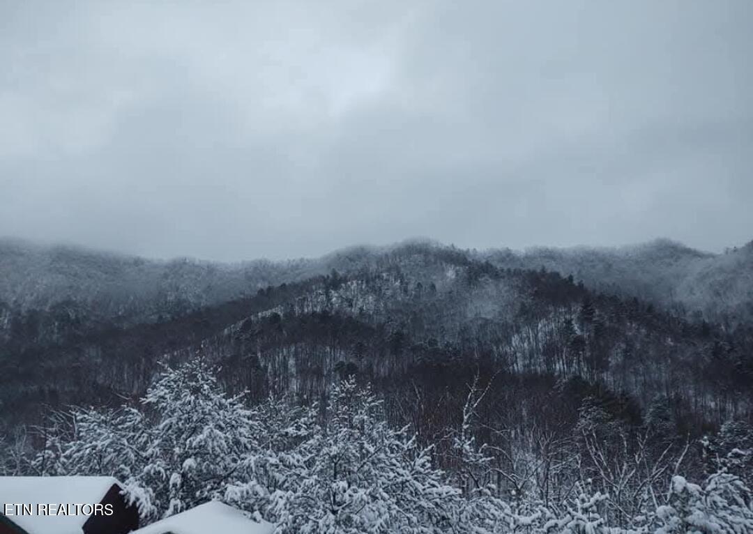 971 Critter Mountain Way