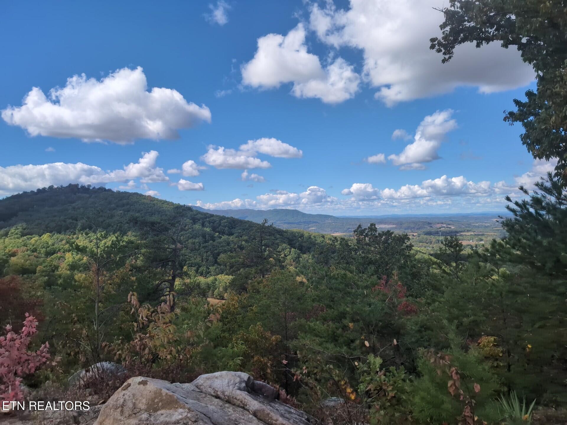 971 Critter Mountain Way