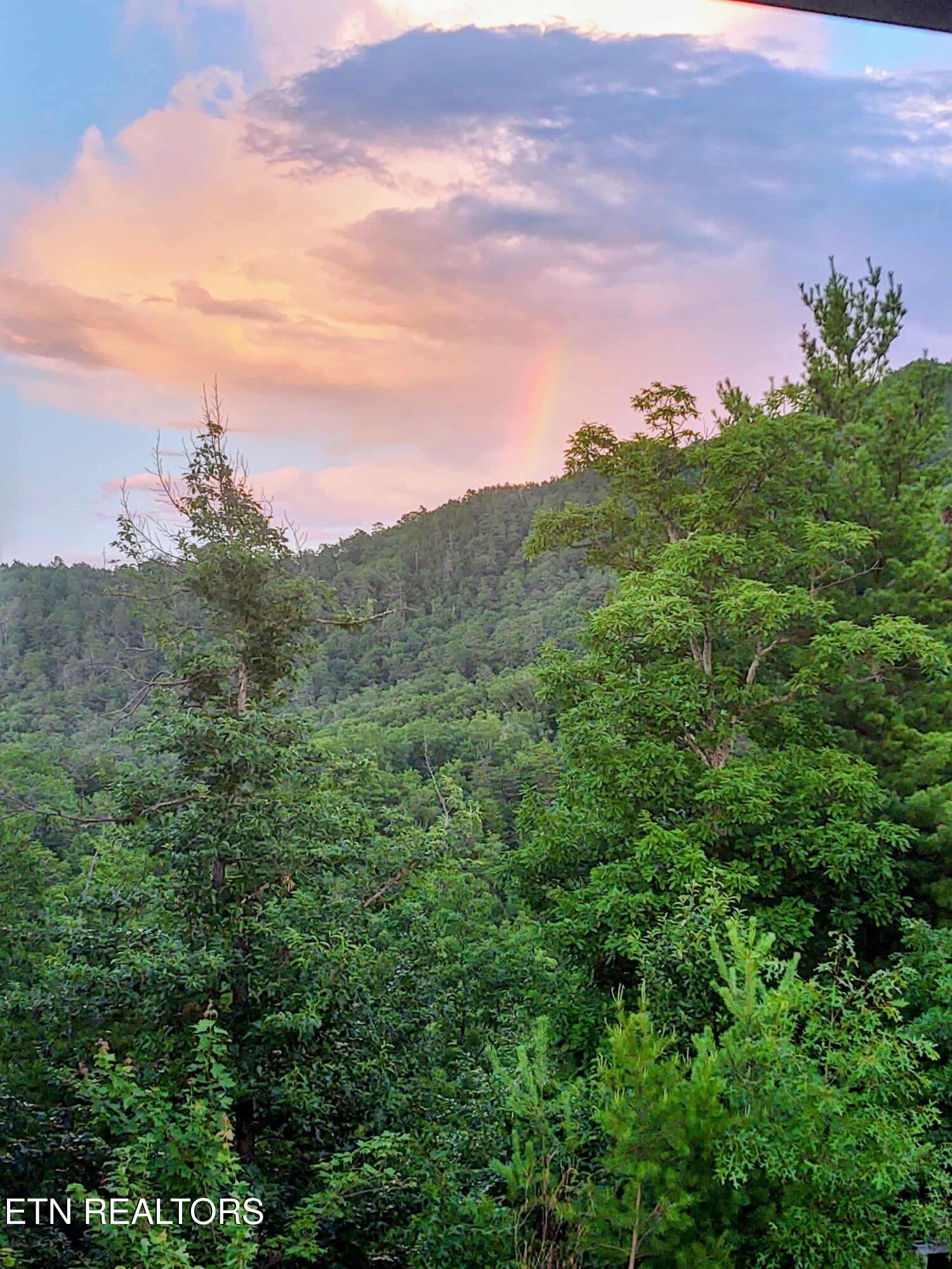 971 Critter Mountain Way