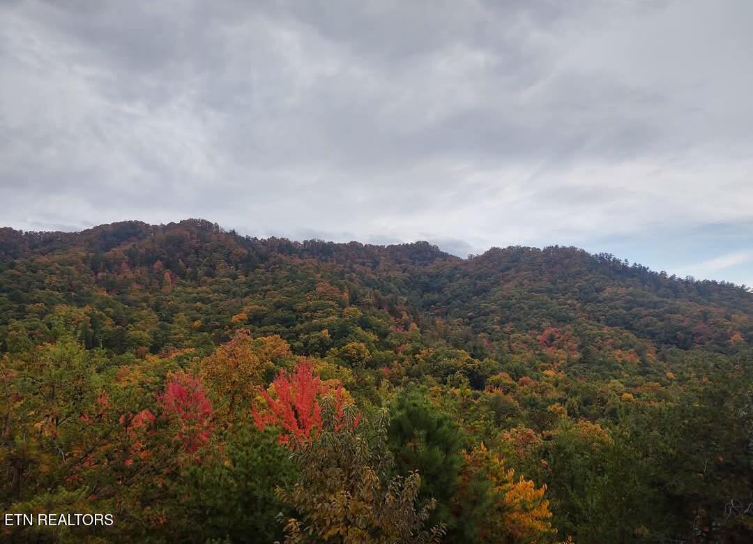 971 Critter Mountain Way