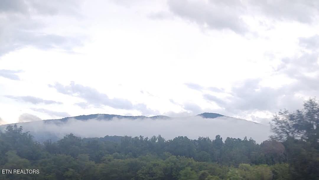 971 Critter Mountain Way