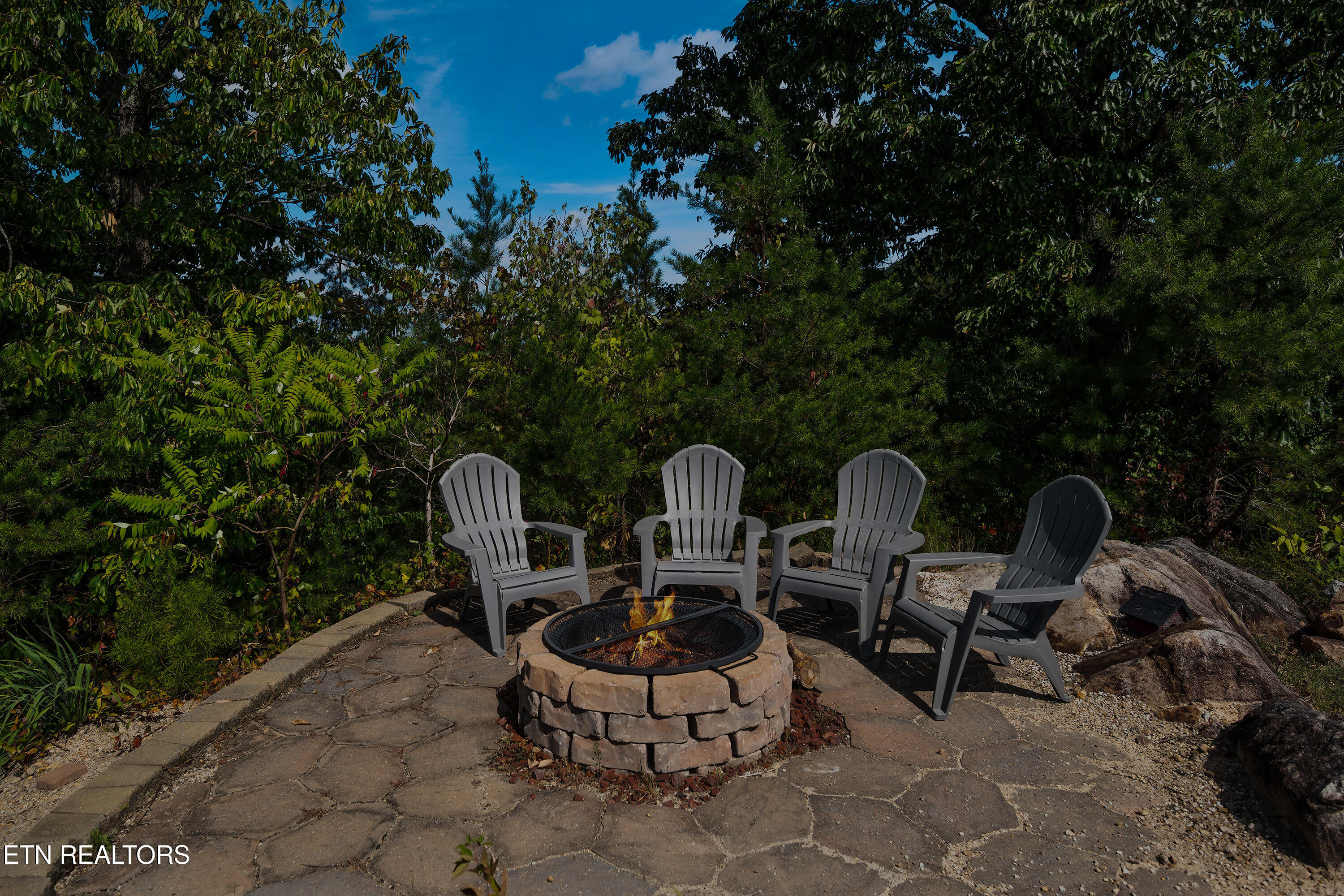 971 Critter Mountain Way