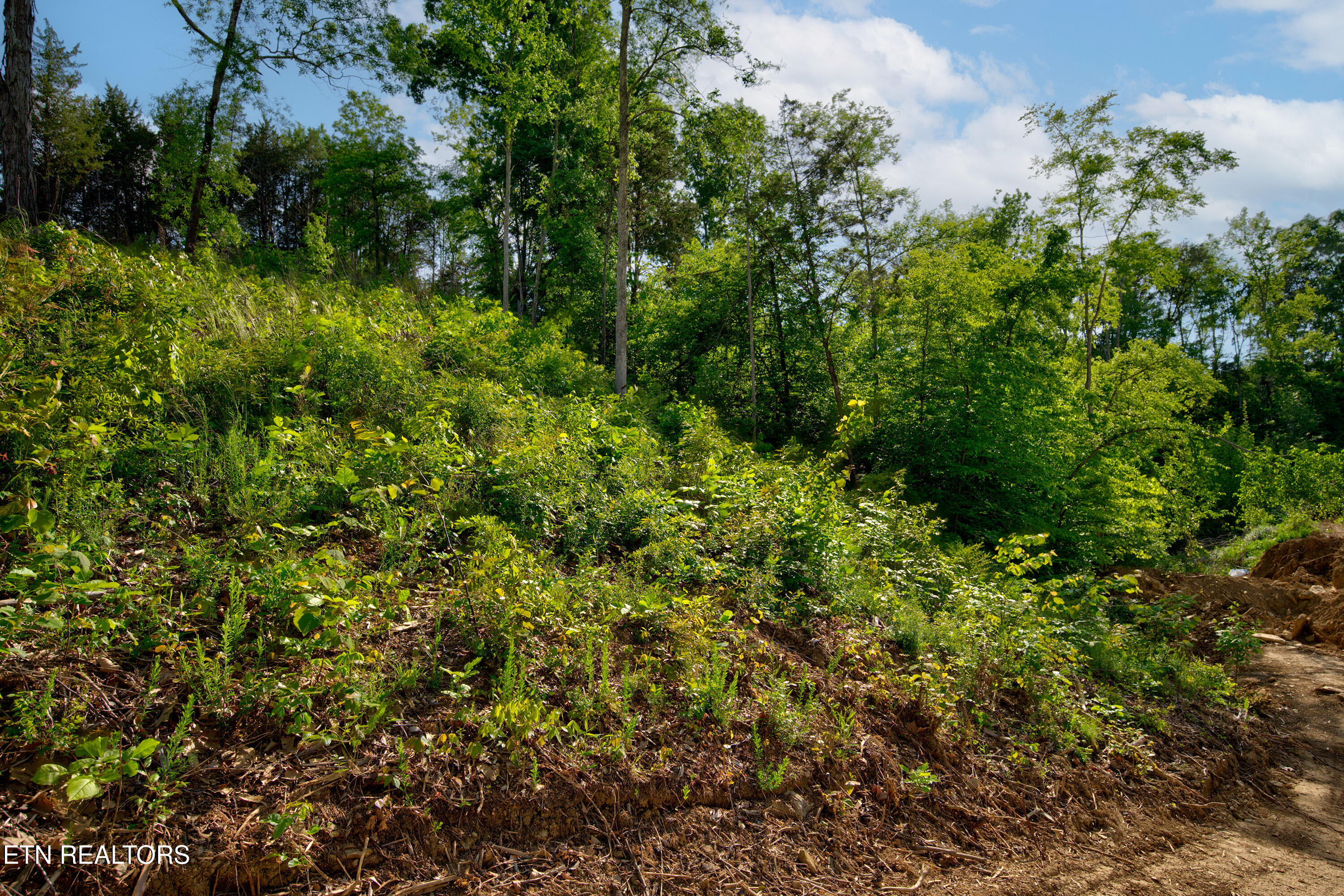 Quiet Cove Way