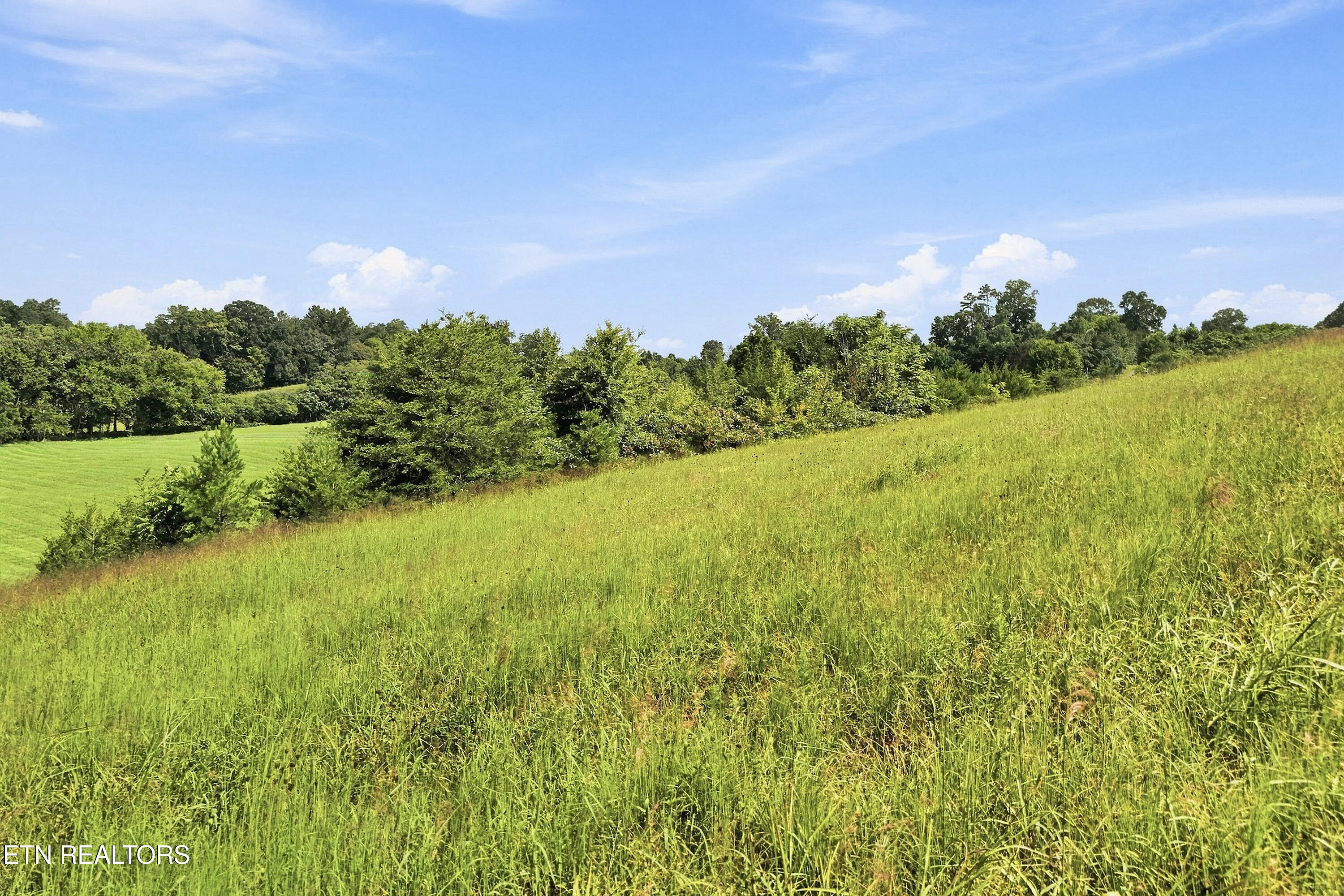 TBD Holston River Drive